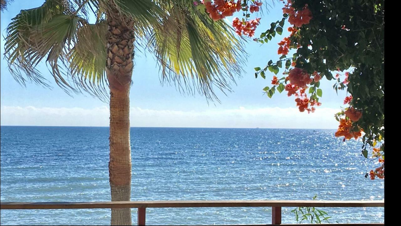 Mi Capricho A16 Beachfront Apartment Sitio de Calahonda Exterior foto